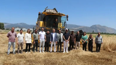 Söke Belediyesi buğday hasadına Başkan Arıkan öncülük ediyor