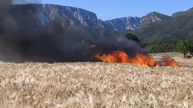 Vezirköprüde tarla yangını büyük zarara yol açtı