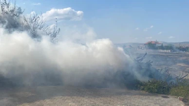 Çorumun Alaca ilçesinde 5 ton odun yandı