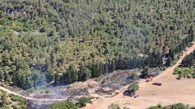 Soma ormanında semaver ateşi yangına neden oldu
