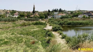 Tarihi Taşköprü Büyük Menderes Nehrinde tehlike yaşıyor