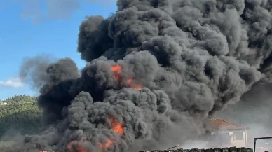 Bilecik Osmaneli soğuk hava deposunda korkutan yangın başladı