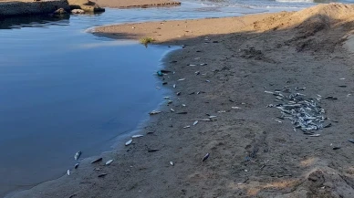 Manavgat Side kanalında kimyasal kirlilik tehlikesi ortaya çıktı