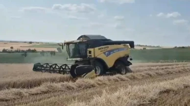 Edirne buğday hasadında çiftçinin yüzü gülüyor