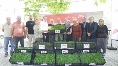Mersin Büyükşehir Belediyesi Gülnar çiftçisine domates fidesi dağıttı