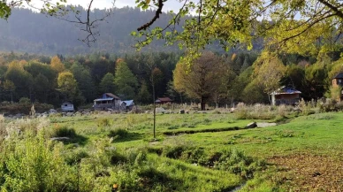 Zonguldak ormanlarda üç ay boyunca giriş yasaklandı