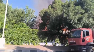 Siirt Kurtalan 15 Temmuz Parkındaki işletme yandı