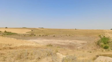 Tekirdağ Muratlı göletleri kuraklık nedeniyle kuruyor