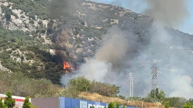 Bodrum Ortakent orman yangınına hava desteği sağlandı