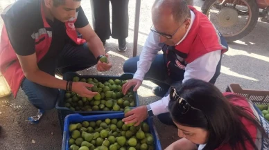 Aydın ve Germencik ilek pazarları sıkı denetime alındı