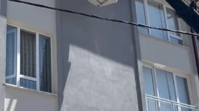 Sivasta mahsur kalan kuşu itfaiye ekipleri kurtardı