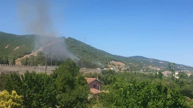 Kocaeli TEM Otoyolu yangını iki saatte söndürüldü