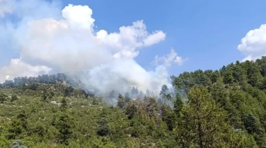 Denizli Honaz ormanlarında yıldırım düşmesi yangına neden oldu