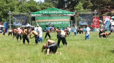 Mehmet Yeşil Yeşil Çalı Güreşlerinde şampiyonluğu kazandı