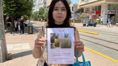 Bayramda Eskişehirli Burcu Dincay kedisi Bademi arıyor