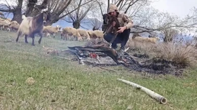 Erzincanlı çoban Mert Yılmaz dolu mağduru oğlağı kurtardı