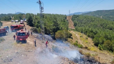 Marmaris orman yangını hızlı müdahaleyle söndürüldü