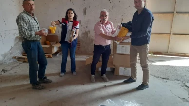 Nazilli çiftçileri Akdeniz meyve sineğine karşı güçlendi