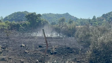 Tekneden atılan işaret fişeği Marmariste yangına neden oldu