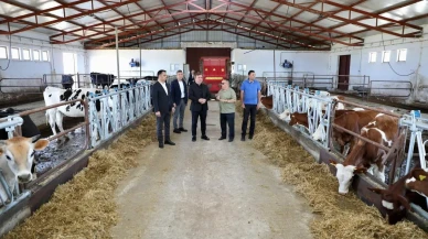 Vali Aydoğdu Erzincan düve üretim merkezini inceledi