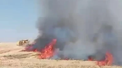 Adıyaman Gölbaşında buğday tarlası alev aldı