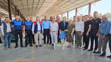 Nazilli ilek pazarında kaliteli incir üretimi başlıyor