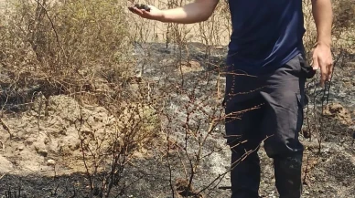 Hataylı itfaiyeciler yavru serçeyi alevlerden kurtardı