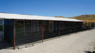 Adıyaman Belediyesi sokak hayvanları için yaşam alanı kurdu