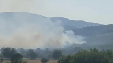 Balıkesir Sındırgı meralık alanda yangın söndürülüyor