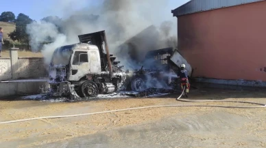 Balıkesirde park halindeki kamyondan otluk alana yayıldı