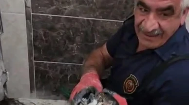 Malatya itfaiyesi atık borudaki yavru kediyi kurtardı