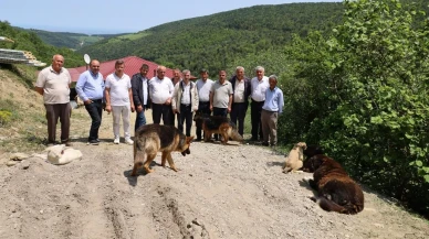 Bafra muhtarları köpek barınağına karşı ayaklandı
