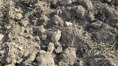 Haymana tarlasında Sakarya Savaşından kalan bombayı buldu