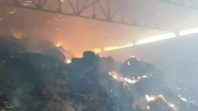 Manisa Salihli çiftliğinde binlerce balya saman yandı