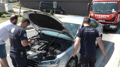Bursada yavru kedi trafik ışıklarında macera yaşadı