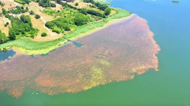 Terkos Gölü bahar renkleriyle büyüleyici görüntüler sunuyor