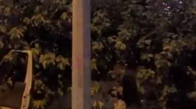 Hatayda telef olan horoza kalp masajı yaptı