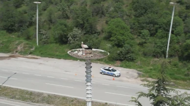 Kızılcahamam Leylek Oteli yeni yavrularıyla ziyaretçilerini karşılıyor