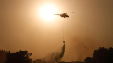 Antalya Aksu seralarında büyük yangın paniği yaşandı