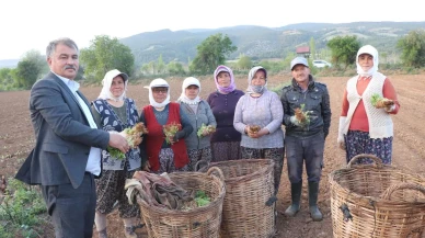 Beyağaç tütün ve biçerdöver ücretleri yeniden belirlendi