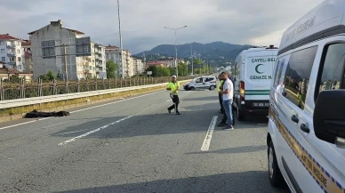 Arabaya giren arı Rizede iki kardeşi ayırdı