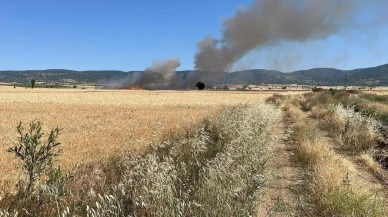 Yozgat Aydıncıkta 20 dönüm ekili alan yandı