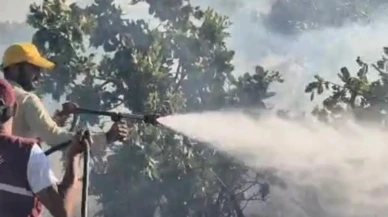 Siirt Ekmekçiler köyündeki örtü yangını kontrol altına alındı