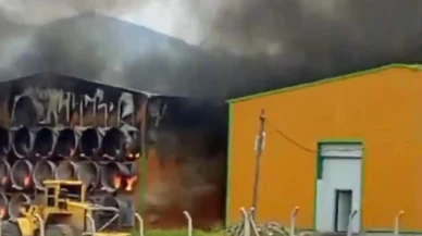 Ankara Çubuk ilçesinde tavuk çiftliği yangını söndürüldü