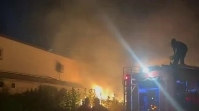 Sakarya Akyazıda otluk yangını tül fabrikasını etkiledi