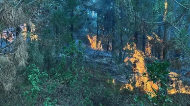 Kocaeli Belediyesi izmarit atanlara ceza uygulayacak
