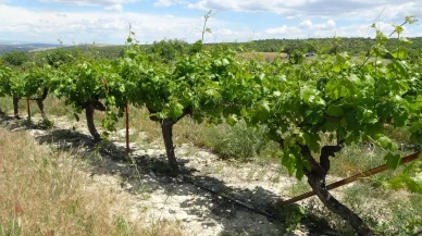 Alacakapı Mahallesi dev yeşil parka kavuşuyor