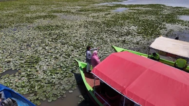 Beyşehir ve Bangladeş Su Nilüferi ile buluştu