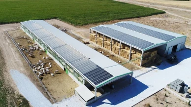 Denizli tarımına 87 milyonluk dev destek geliyor