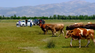 Erzincan meraları için su kaynakları aranmaya başlandı